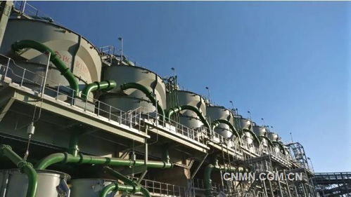 深化六個引領，建設一帶一路精品工程——礦冶集團南非PMC浮選廠總承包項目建設紀實